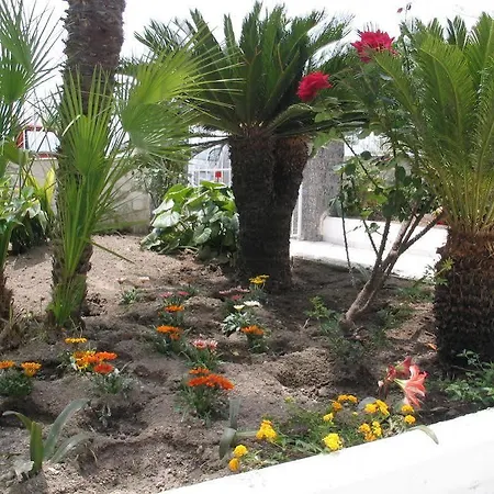 Bina Hotel Sant'Angelo (Isola d'Ischia)