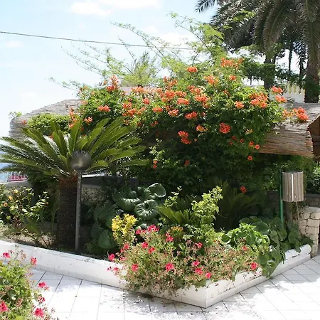 Отель Bina Sant'Angelo (Isola d'Ischia)