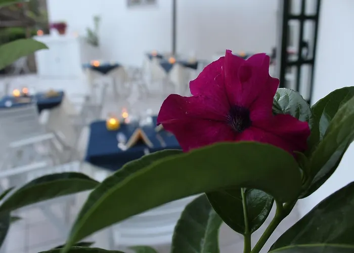 Bina Sant'Angelo (Isola d'Ischia)