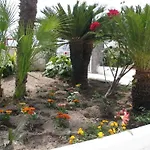Bina Szálloda Sant'Angelo (Isola d'Ischia)